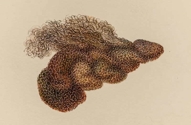 paintings_6320